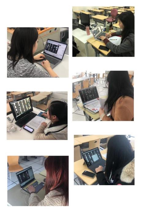 BB贝博艾弗森官方网站