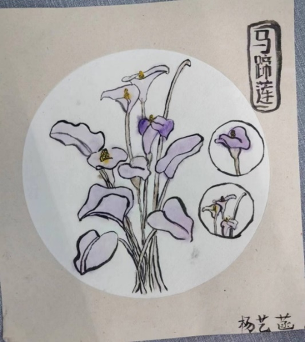 BB贝博艾弗森官方网站