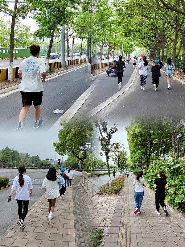 BB贝博艾弗森官方网站