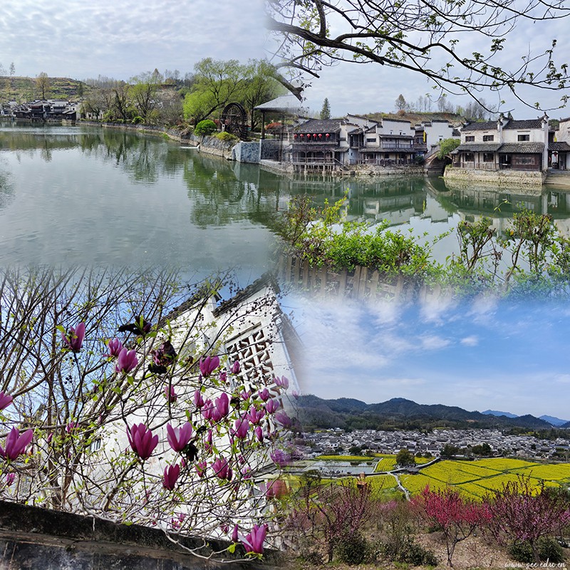 BB贝博艾弗森官方网站