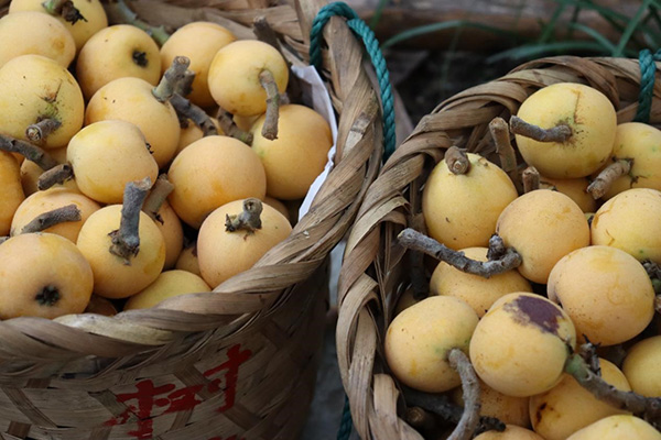 BB贝博艾弗森官方网站