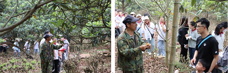 BB贝博艾弗森官方网站