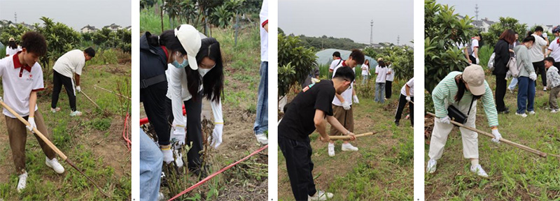 BB贝博艾弗森官方网站 BB贝博艾弗森官方网站
