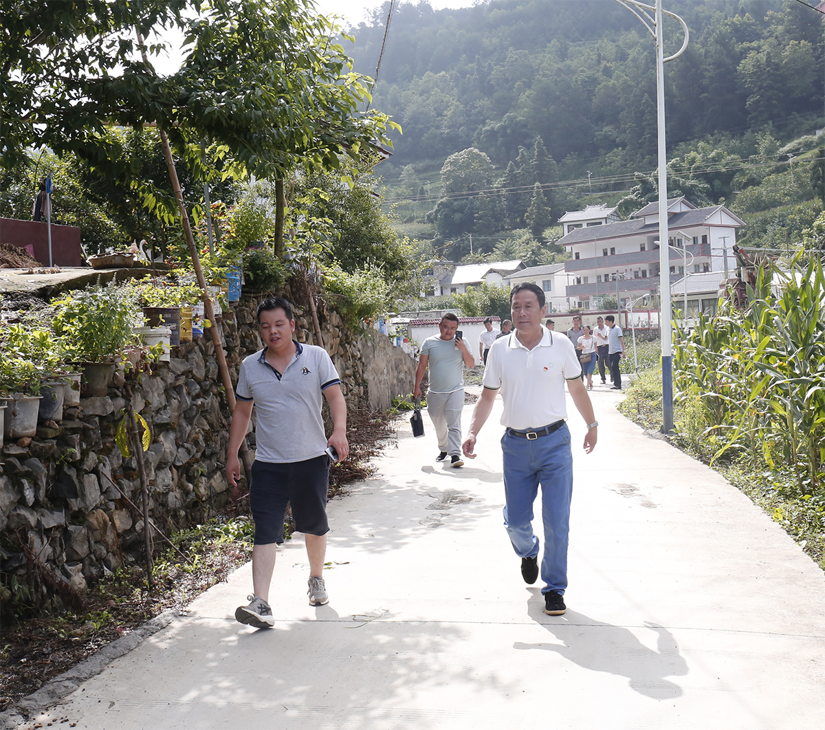 1564336046325320.jpg 1.jpg