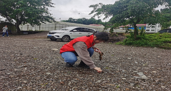 1651907144478900.png 1651907144478900.png