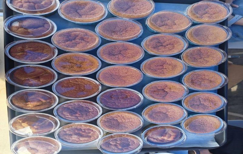 Cache_-7024673613da997c