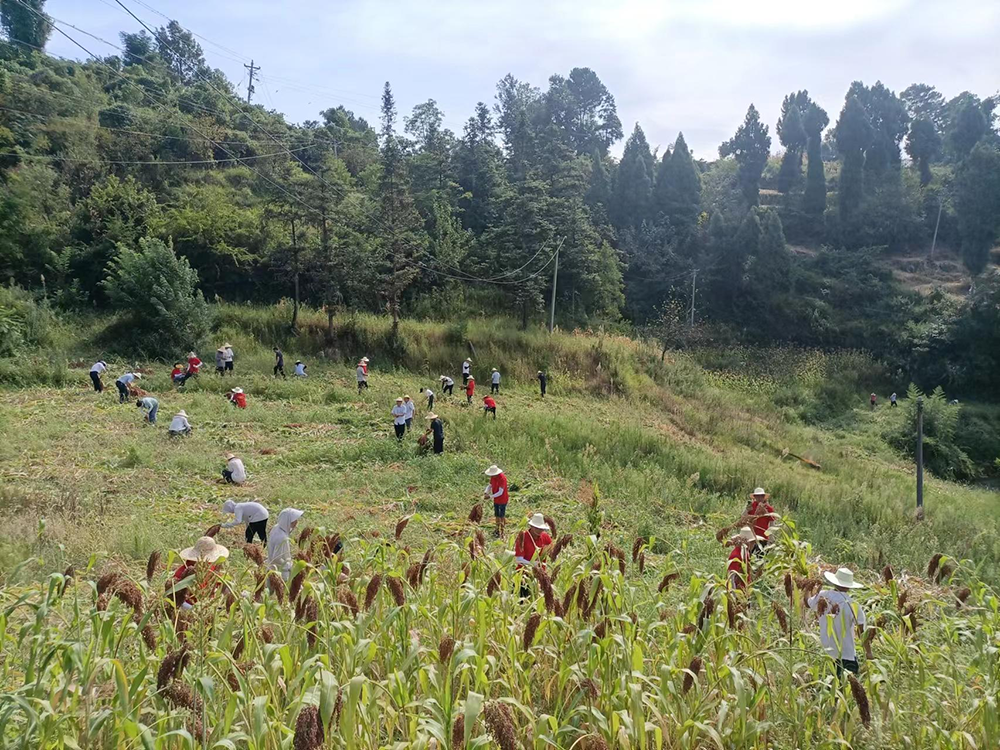 1661336007506957.png 图片4.png